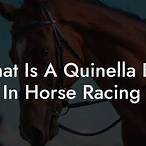 quinella bet meaning